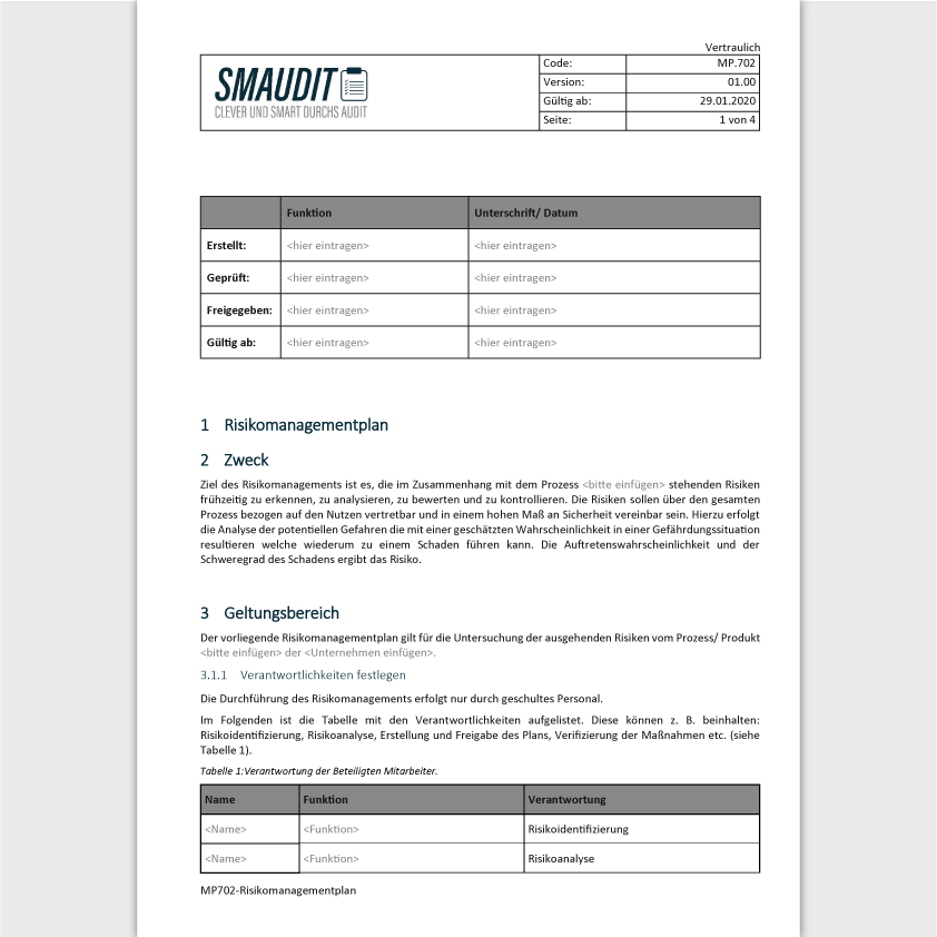 MP.702 - F&T Risikomanagementplan - SMAUDIT - DIN EN ISO 13485