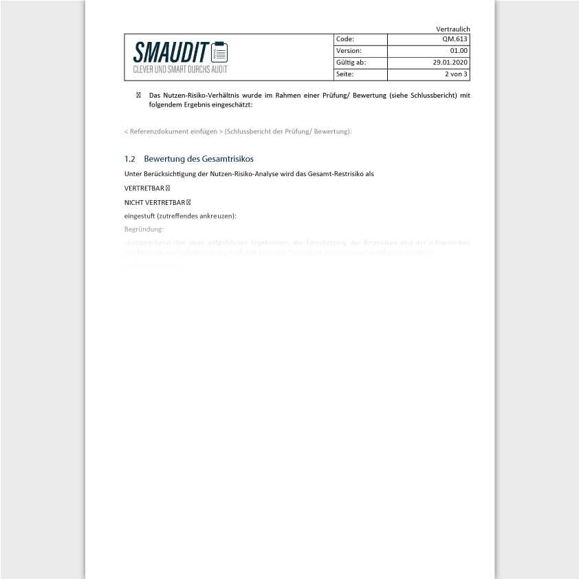QM.613 - F&T Risikomanagementbericht - SMAUDIT - DIN EN ISO 9001