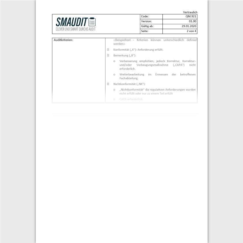 QM.921 - F&T Auditplan - SMAUDIT - DIN EN ISO 9001